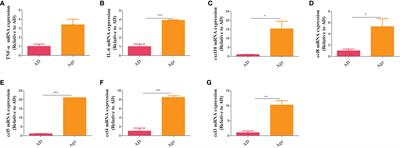 Early intestinal microbiota changes in aged and adult mice with sepsis